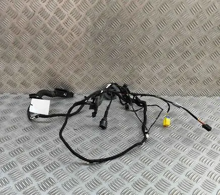 Audi Q5 SQ5 Front door wiring loom 8R0971029BC