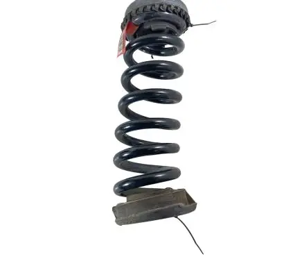 Dodge Charger Rear coil spring 05168899AC
