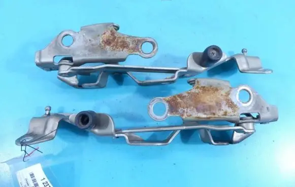 Tailgate/trunk/boot hinge