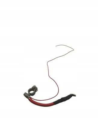 Ford Transit - Tourneo Connect Positive cable (battery) 