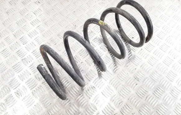 Front coil spring
