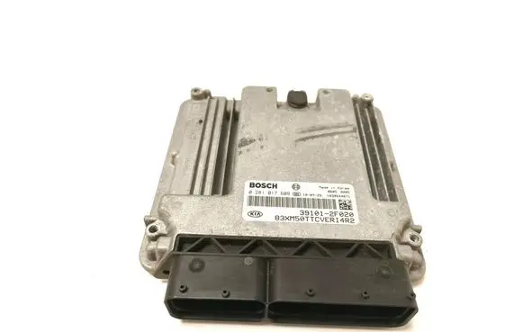 KIA Sorento Engine control unit/module 391012F020