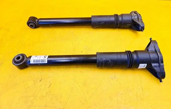 Citroen DS3 Rear shock absorber/damper 98310948800