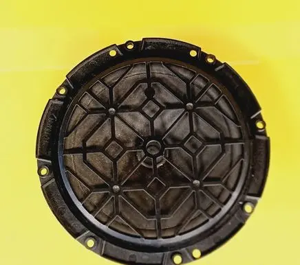 Citroen C2 Front door speaker