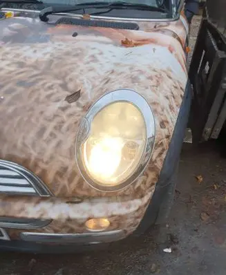 Headlight/headlamp