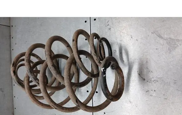 Rear coil spring