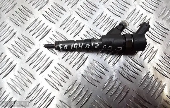 Citroen C5 Fuel injector 0445110076