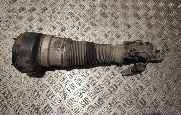 Mercedes-Benz S W221 Front shock absorber/damper C086105