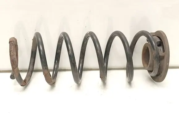 Rear coil spring