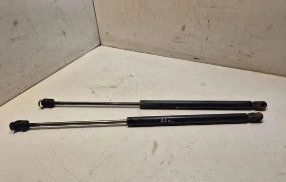 Tailgate/trunk strut/damper
