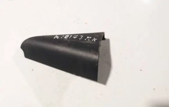 Renault Laguna II Other front door trim element 