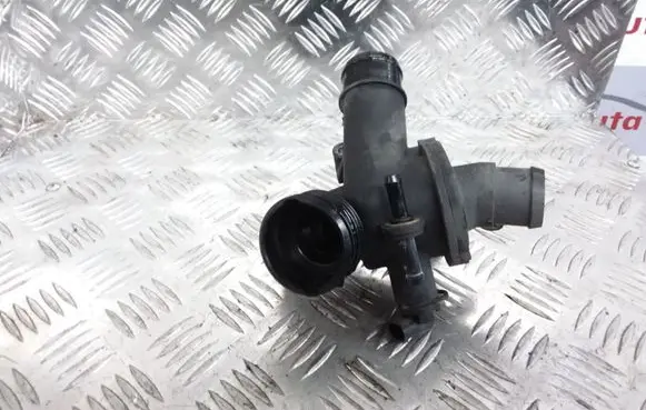 Thermostat/thermostat housing