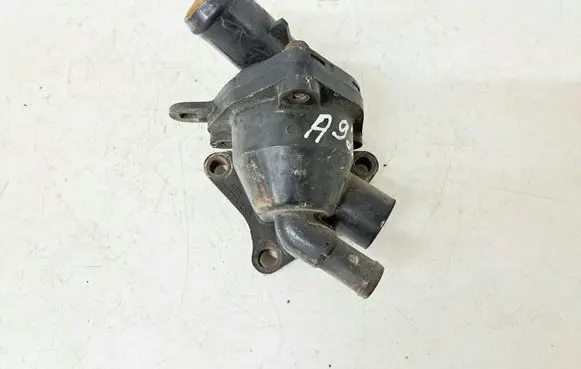 Thermostat/thermostat housing
