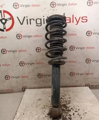 Peugeot 407 Front shock absorber with coil spring
