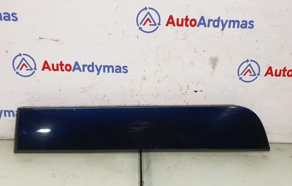 Rear door trim (molding)
