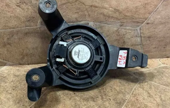 Rear door speaker