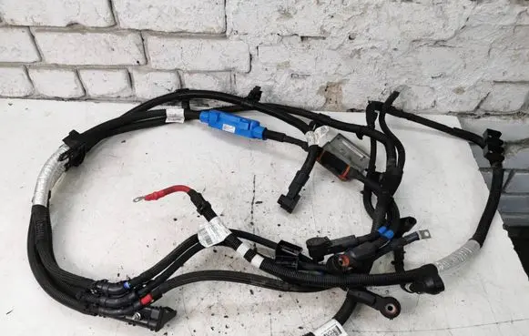 Alfa Romeo Tonale Other wiring loom 00522090420 5204