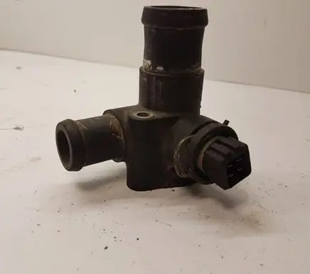 Thermostat/thermostat housing