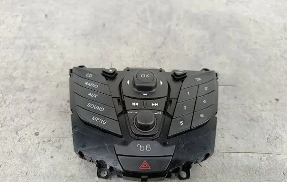 Ford Fiesta Head unit multimedia control 
