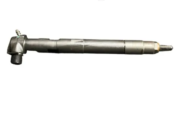 Opel Antara Fuel injector 28489548