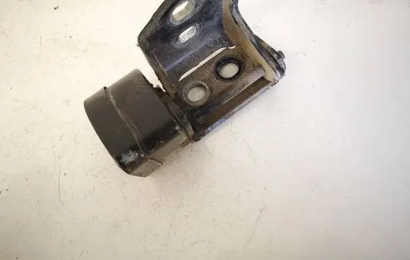 Renault Scenic II - Grand scenic II Rear door lower hinge 