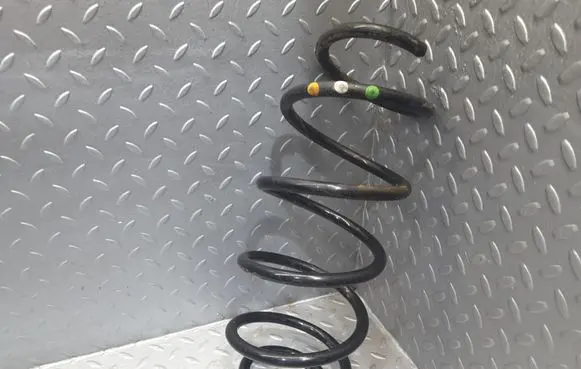 Citroen DS4 Front coil spring 5002TG