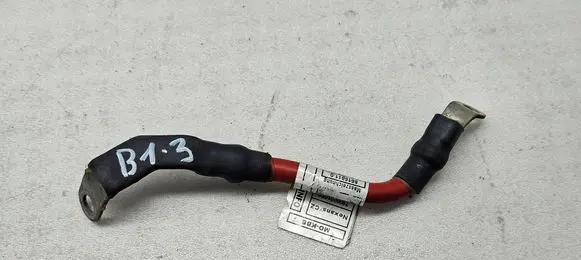 BMW 1 F20 F21 Positive cable (battery) 8616811 1860 E2B6023
