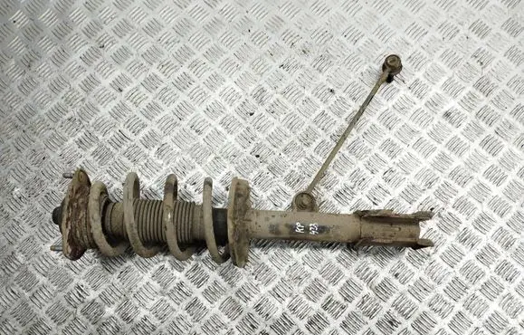 Hyundai Santa Fe Front shock absorber/damper