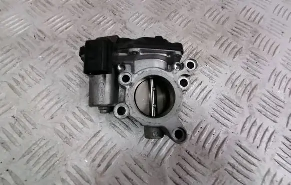Throttle body valve