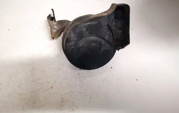 Volkswagen Tiguan Horn signal e30055307