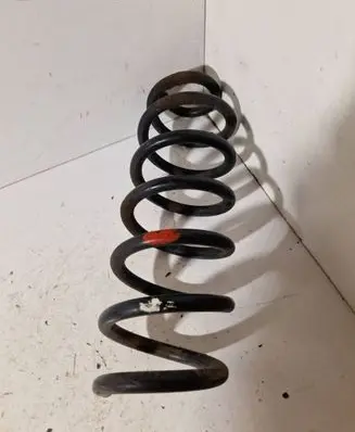 Rear coil spring
