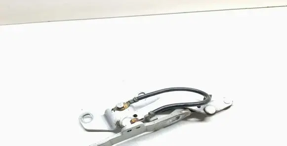 BMW 3 E92 E93 Engine bonnet/hood hinges 