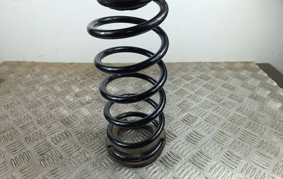 MG ZS Rear coil spring