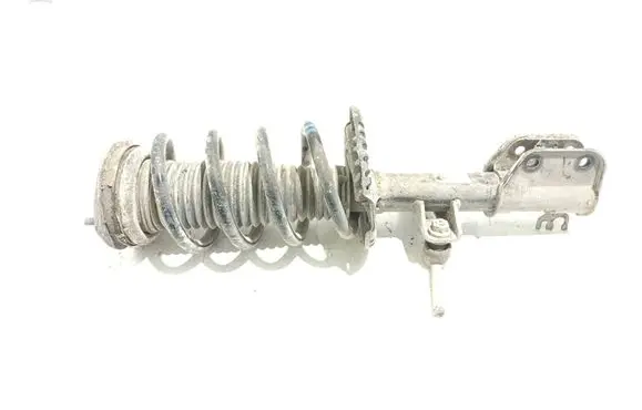 Volkswagen Crafter Front shock absorber with coil spring 2N0413031BG NV059 E5824301