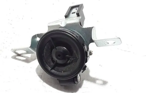 Renault Koleos I Front door high frequency speaker 28148JY00A