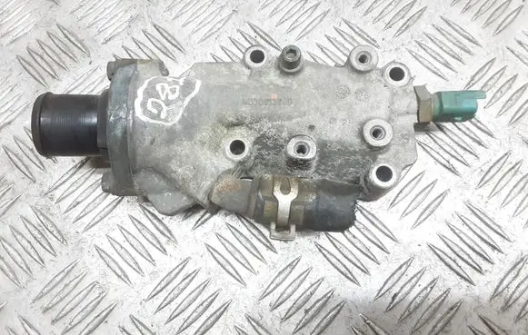 Thermostat/thermostat housing