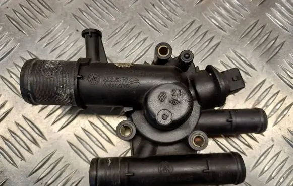 Thermostat/thermostat housing