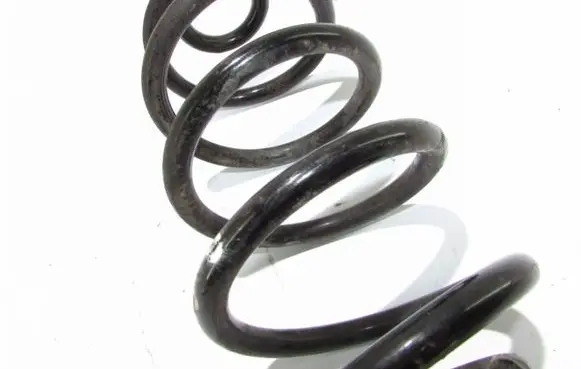 Nissan Juke I F15 Rear coil spring