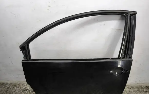 Volkswagen New Beetle Front door
