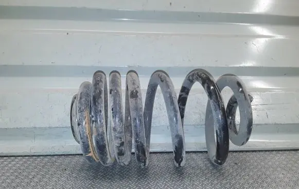 Renault Trafic II (X83) Rear coil spring 