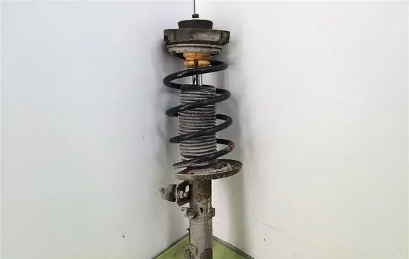 Front shock absorber with coil spring