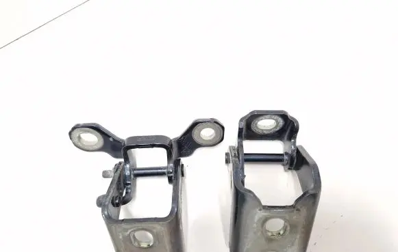 Renault Megane IV Rear door hinge set 