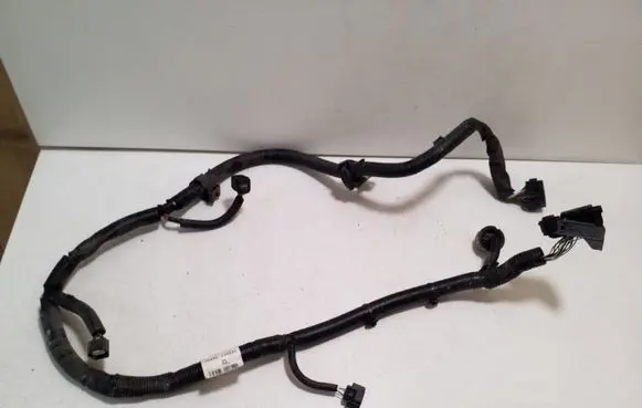 Other wiring loom