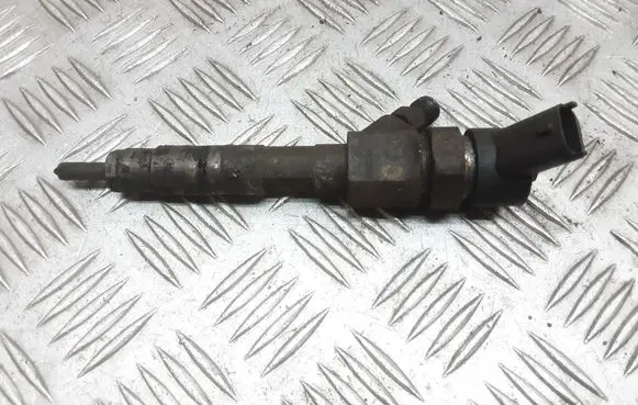 Renault Espace - Grand espace IV Fuel injector 8200100272