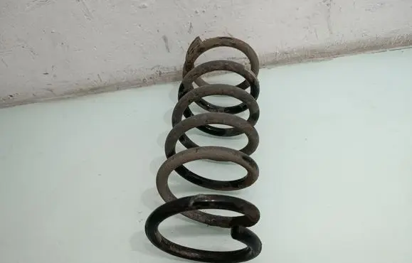 Rear coil spring