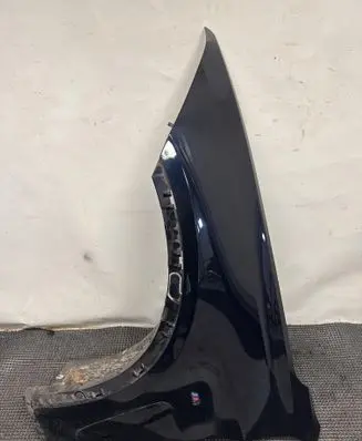 BMW X6 F16 Fender 419