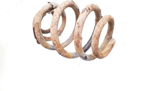 Ford Galaxy Rear coil spring
