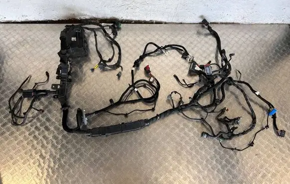 Maserati Ghibli Other wiring loom 670037824