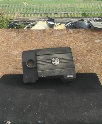 Opel Antara Engine cover (trim) 25184813