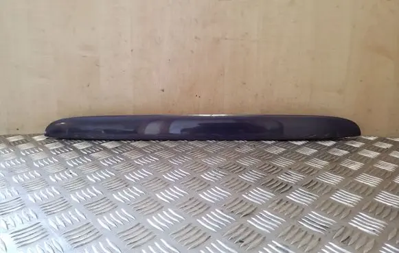Trunk door license plate light bar